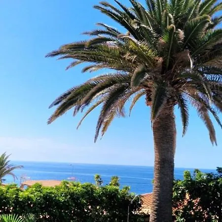 Sunny Palm With Private Pool In *